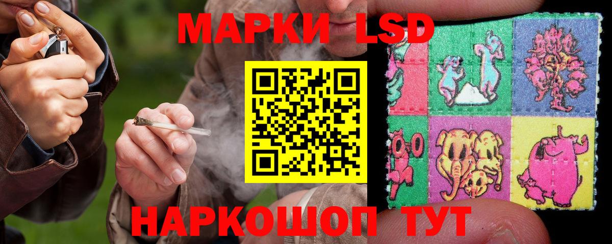 Кингисепп  Лсд 25 экстази ecstasy  Вход с VPN  Лсд 25 экстази кислота 