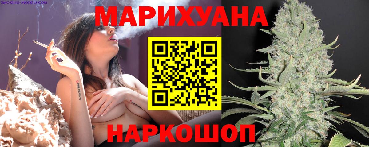 Конопля план Кингисепп